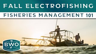 Fall Electrofishing - Fisheries Management 101