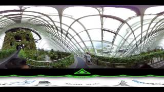 360 Video - Cloud Forest Walkthrough