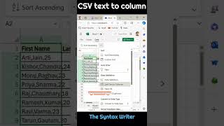 Convert CSV Text into Columns in Excel | Learn Excel for Beginners