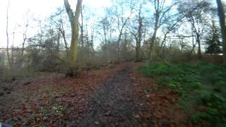 Bramfield Woods MTB