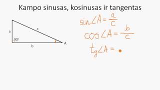 Trigonometrija. Kampo sinusas, kosinusas ir tangentas.