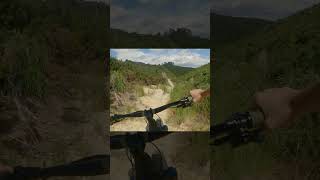 Super Fun MTB Track #mtb #shorts