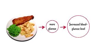 Blood glucose control and diabetes