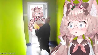 What's in the box? | VTuber Fuwa Reacts to Daily Dose of Internet, UNUSUAL MEMES and CAT MEMES