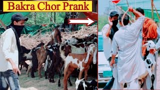 Bakra Chor Prank 2020 / Very Funny Prank / Prank By Pindi Gang