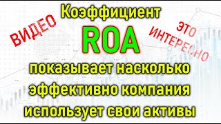 Инвестиции для начинающих. Коэффициент ROA – что показывает и где применяется