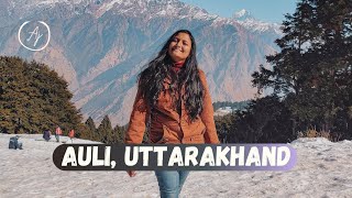 Made it to Auli | Playing, Eating & Falling in the Snow | Auli Tour Guide