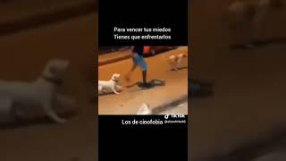 Subiendo memes hasta hacerme viral parte 4 #shorts