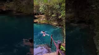 Best CENOTES Tour in Cancun #shorts