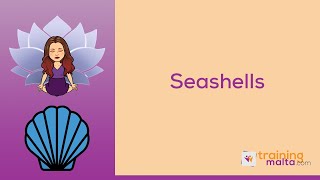 Seashells