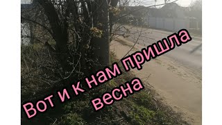 Вот и к нам пришла весна.