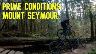 Prime Conditions Shuttling Seymour