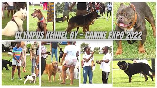 Olympus Kennels GY ~ Canine Expo 2022