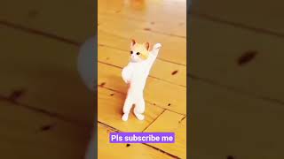 😄imagine dance ||♪♪♥ ||cat dancing #viralshorts #catdance #imagine