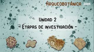 Unidad 2: Etapas de investigación