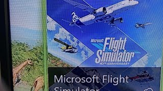 Flight simulator