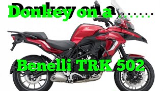 Donkey on a ...... 2023  BENELLI TRK 502