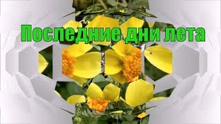 Последние дни лета [Релакс | Relax]