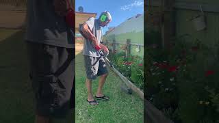 Edging our lawn border #shorts  #garden  #viral  #diy  #lawn  #lawncare