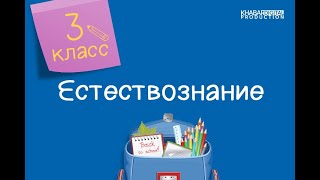 Естествознание. 3 класс. Какими бывают вещества /14.12.2020/