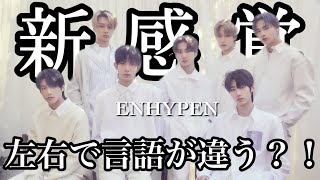 【新感覚】左右で言語が違う？！ ✨イヤホン・ヘッドフォン推奨✨ ENHYPEN/ｴﾝﾊｲﾌﾝ/엔하이픈