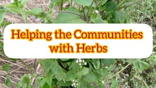 Helping the communities with Herbs