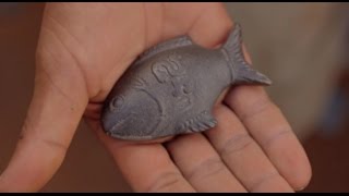 Lucky Iron Fish: A simple solution for a global problem