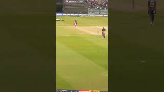 T20 match live from.abu Dhabi | #viral #shorts #shortvideo