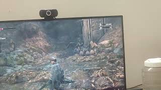 Bloodborne 60fps with Lossless Scaling