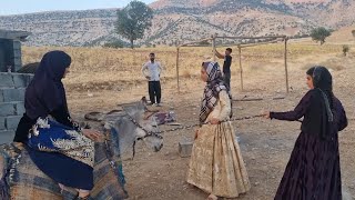 Donkey riding and the happiness of the Koh Yar family after settling in the nomadic hut