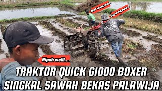 JOKI SENIOR SINGKAL LAHAN BEKAS PALAWIJA||Traktor sawah g1000 boxer bersama mang oman kombet||