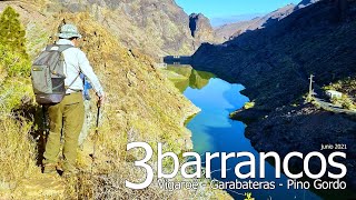 Los 3 barrancos: VIGAROÉ, GARABATERAS y PINO GORDO (junio 2021) #GranCanaria #Senderismo #LaAldea