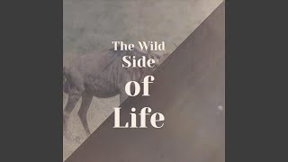 The Wild Side of Life