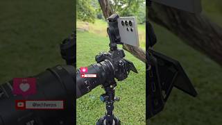 Samsung galaxy S24 ultra VS Nikon Z5 zoom test #s24ultra #samsunggalaxy #nikon