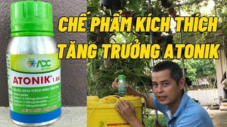 Sử dụng chế phẩm Atonik giúp kích mầm - kích rễ - kích chồi lá cực mạnh