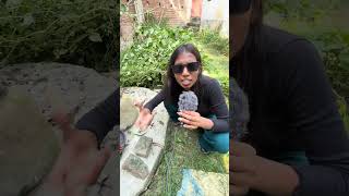 1000th episode of Wild v/s woman🦁  #shorts #manvswild #beargrills  #funnyvideo