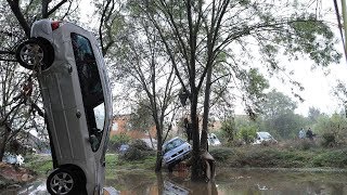 Ураган в Москве 29 мая 2017 Машины под деревьями