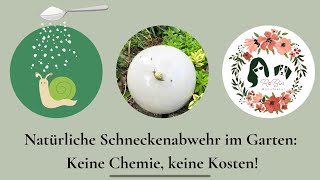 🌿 DIY Schneckenmittel ohne Chemie! 🐌