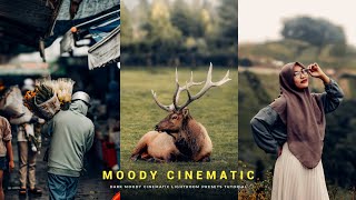 Create Stunning MOODY CINEMATIC TONE in any Photos with LIGHTROOM SETTINGS ( Free Preset )