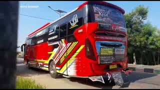 bus tptc sugar baby alzhifa