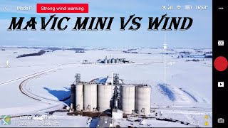 Mavic Mini VS Wind