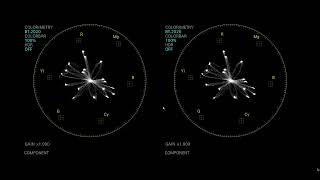 Leader Scopes   On Set Production Guide   Camera Matching