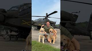 My dogs learn how to fly an Apache helicopter 🚁