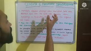 G6pd / glucose 6 phosphate dehydrogenase in hindi