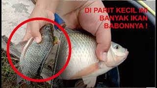 NENER DI PARIT KECIL INI DAPET IKAN BABON