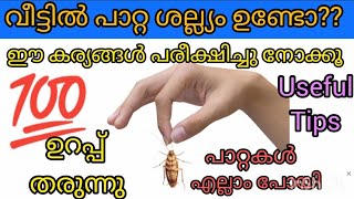 ഇതോടെ പാറ്റ ശല്ല്യം തീർന്നു എന്നേന്നേക്കും നിങ്ങളും#home#Remedies#Cockroach#killer#tips#