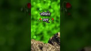 কষ্টের টিকটিক ভিডিও ভাইরাল টিকটিক লাইকি লেখা ভিডিও ভাইরাল #vairal_short #short #capcut