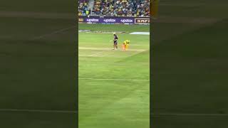 msd the quick stumping