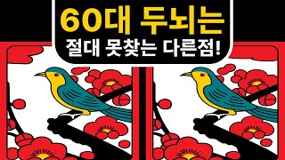 두뇌훈련 ! 당신의 두뇌는 몇 살 인가요? ! 치매예방 ! 틀린그림찾기 ! 끝까지 진행해주세요 !