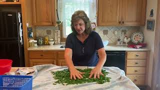 How To Easily Freeze Green Beans